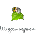 bubamara-zelena.png