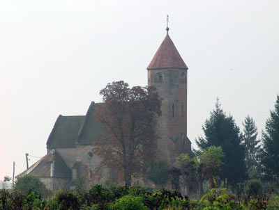 terezija-morovic
