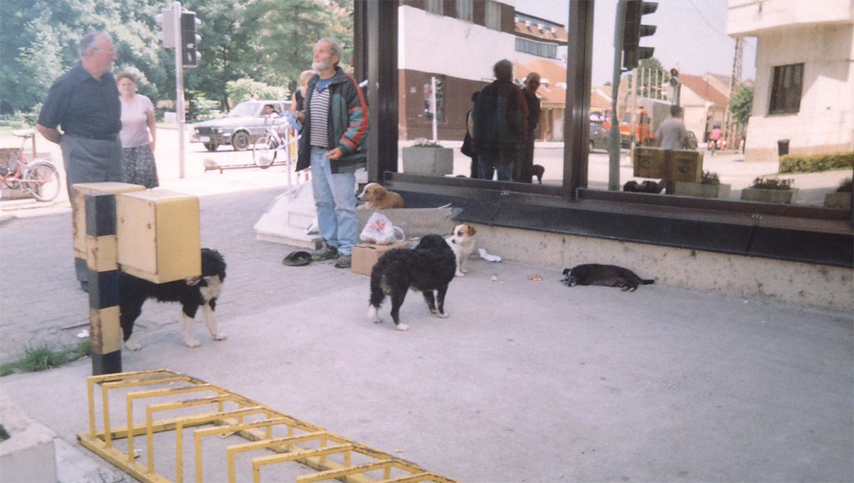 ЉУДВА И "ПАСОВИ"