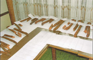  kobasice