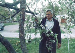 vrba.jpg
