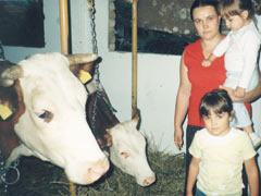 Добро се снашла goveda.jpg