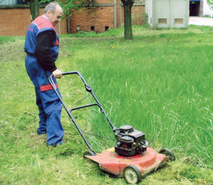 Косачица у акцији okom3.jpg