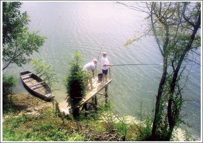 mol-bosut.jpg