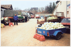 продаја купуса и других производа на паркинг простору kvantas-pijaca.jpg