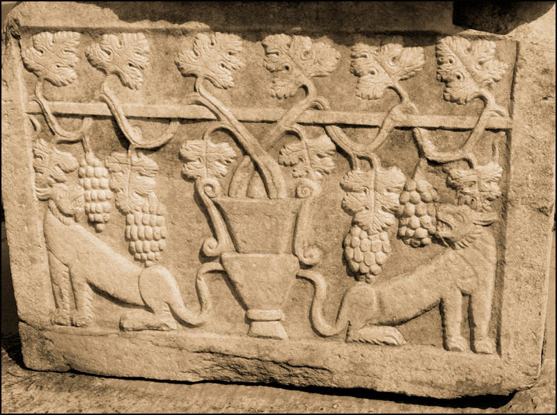 Антички саркофаг у Шиду