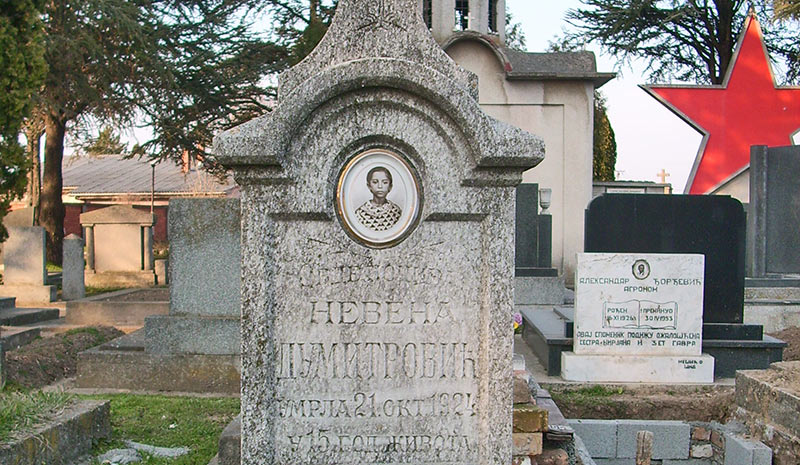 Гроб Јелене Думитровић у Шиду