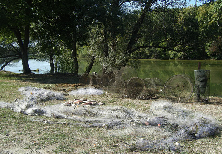 Заплењене мреже на Босуту,Шид