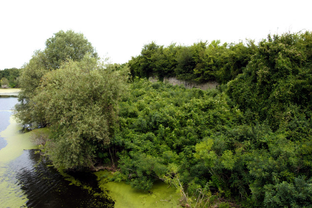 Градина на Босуту, Шид