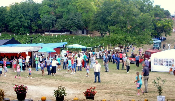 Сремски ручак чобански,Бачинци,Шид