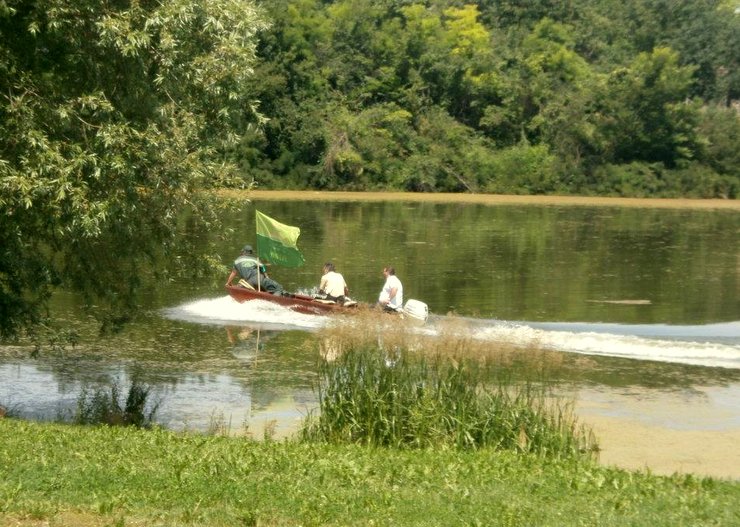 Сочивица гуши живи свет Босута