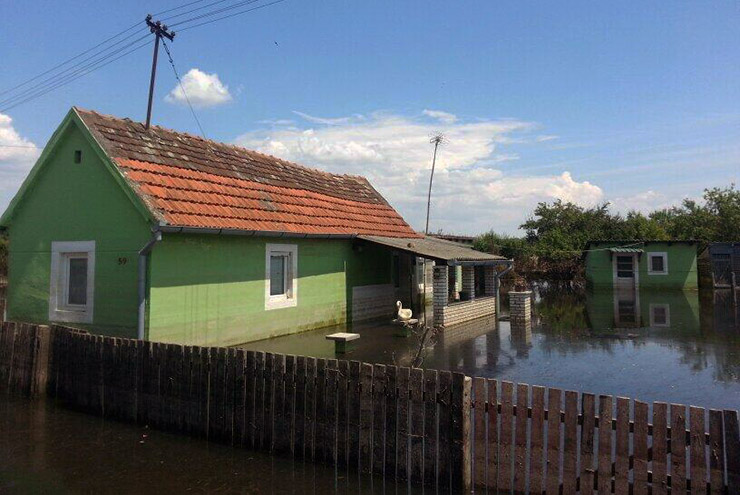 Село Јамена,поплаве, општина Шид
