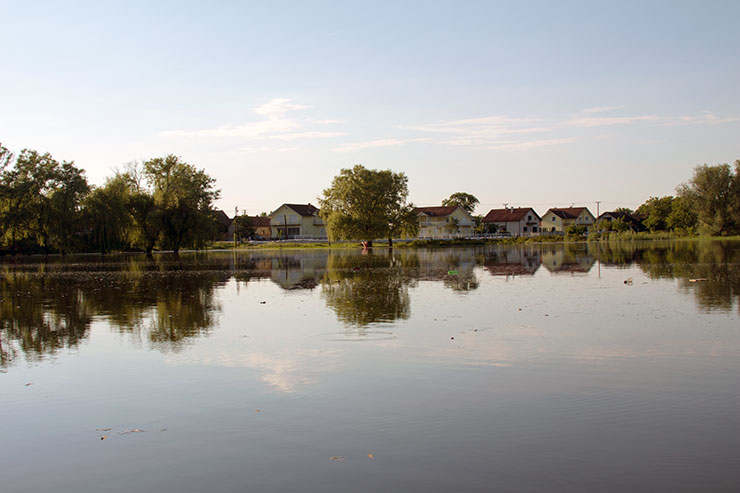 Морович,Босут,Поплаве,Србија