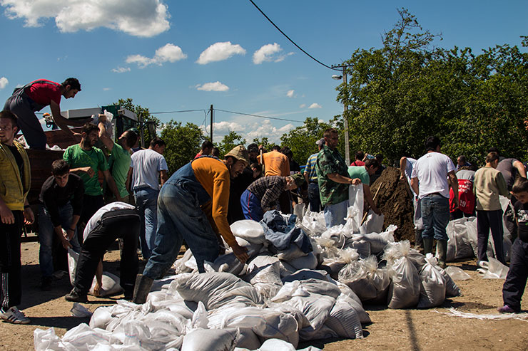 Одбрана Вишњићева од поплаве,Шид