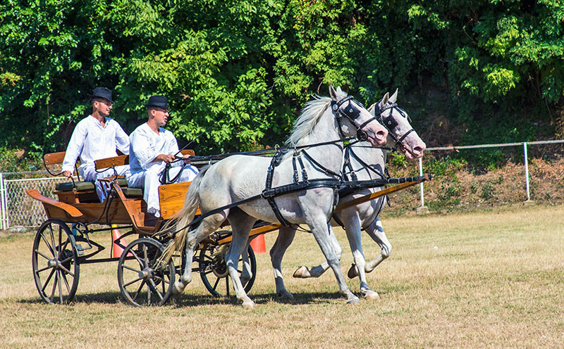 Шидска Фијакеријада,Шид